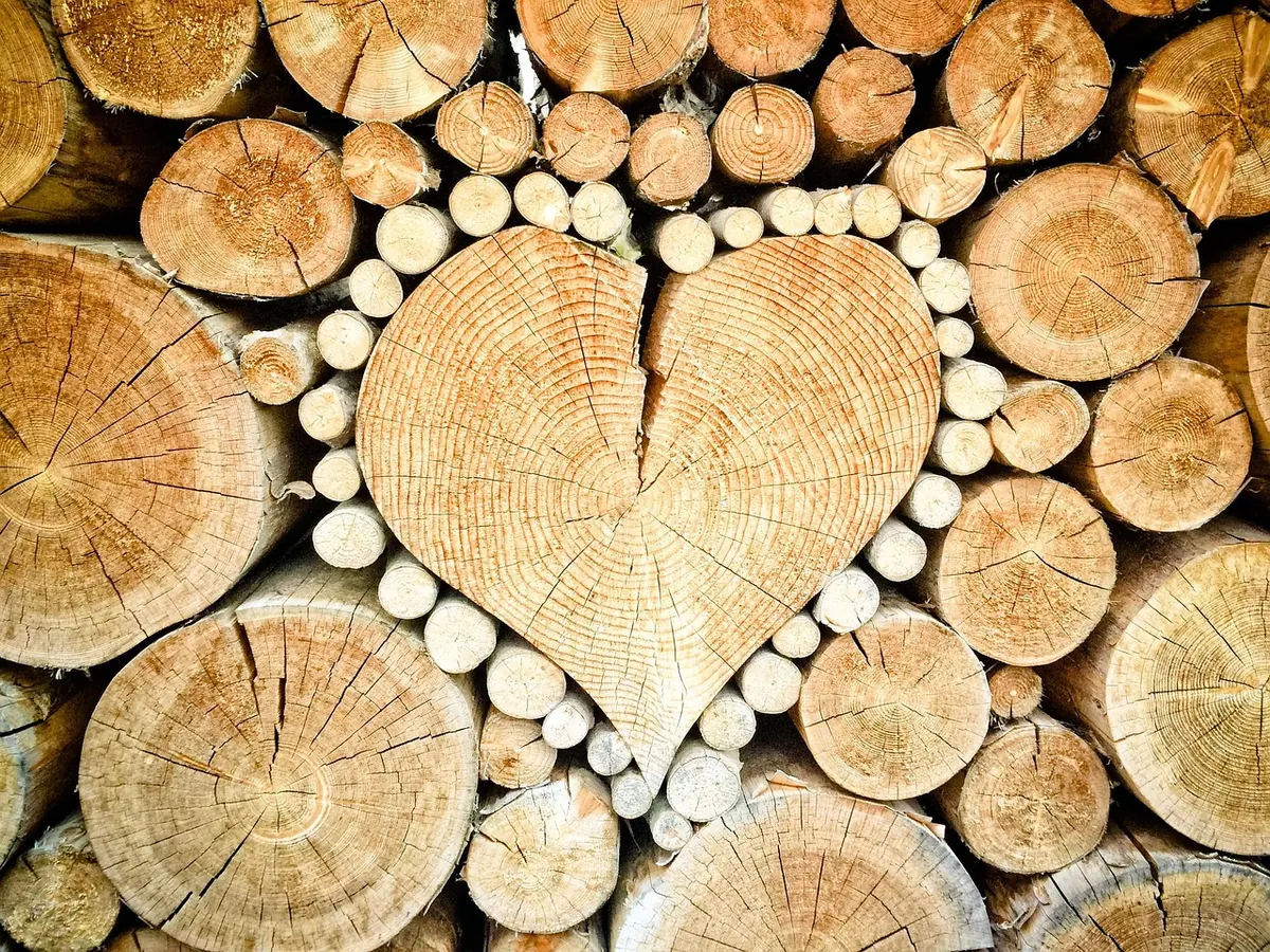 Is Larch Good Firewood? Seasoning, Storing and Burning UK Larch Logs